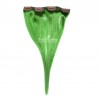 One Piece of Double Weft, Clip in Hair Extensions, Color Green, Made With Remy Indian Human Hair